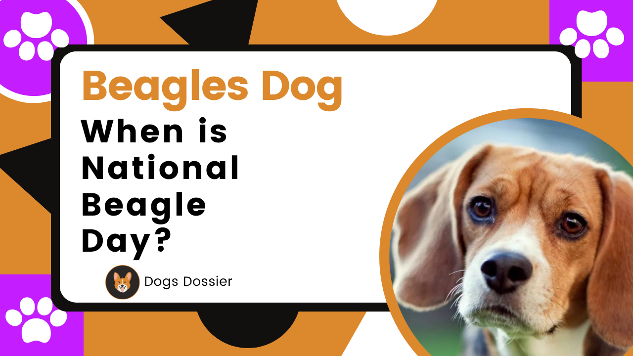 When is National Beagle Day?