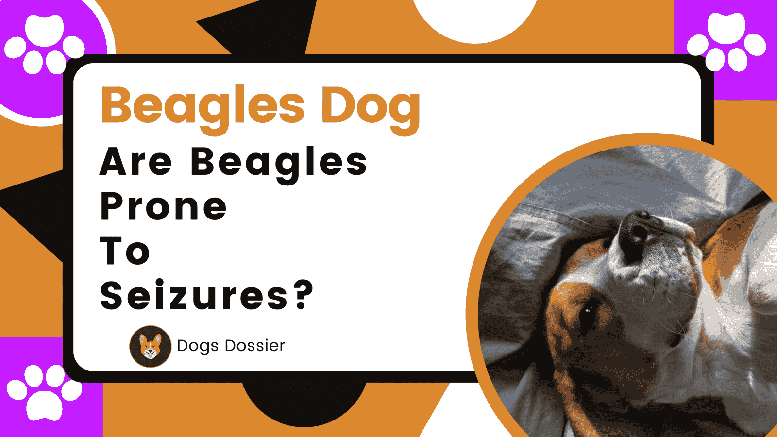 Are Beagles Prone to Seizures? Complete Guide