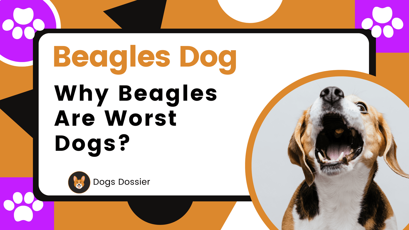 Why Beagles are Worst Dogs?