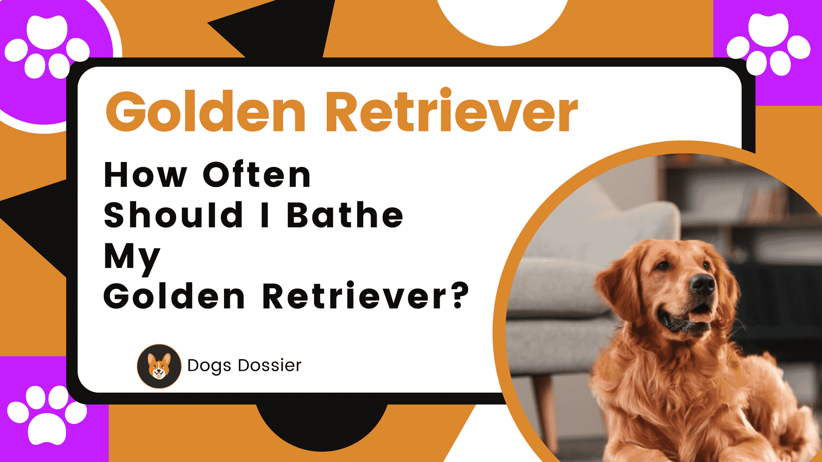 How Often Should I Bathe My Golden Retriever? A comprehensive Guide