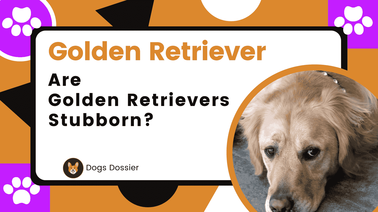 Unveiling the Truth: Are Golden Retrievers Stubborn?
