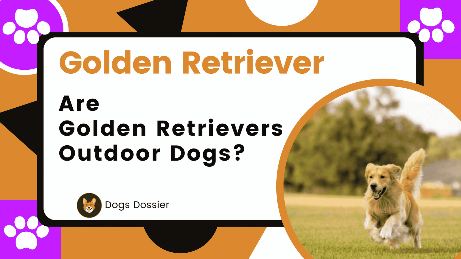 Are Golden Retrievers Outdoor Dogs? The Ultimate Guide