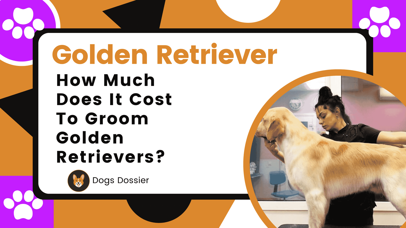 How Much Does it Cost To Groom a Golden Retriever?