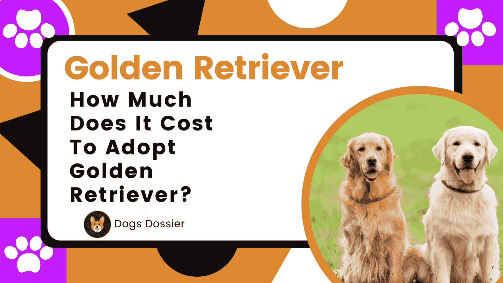 How Much Does It Cost to Adopt a Golden Retriever?