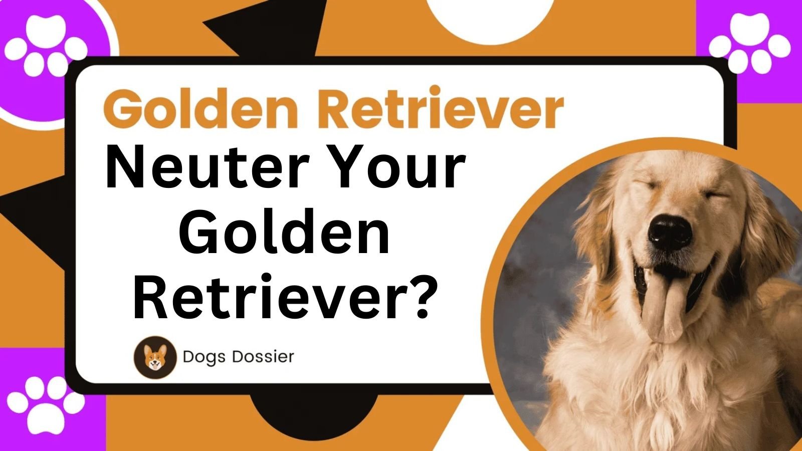 Neuter Your Golden Retriever?