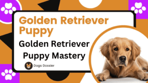 Golden Retriever Puppy Mastery