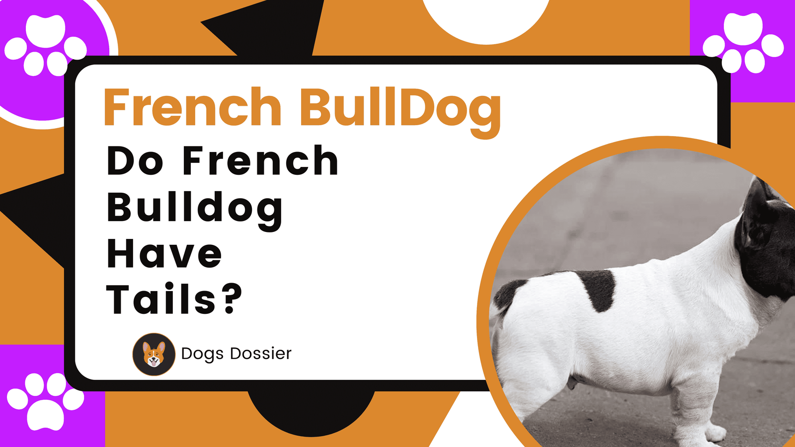 Do French Bulldogs Have Tails? Unveiling the Facts