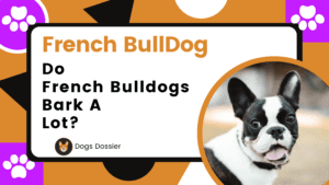 Do French Bulldogs Bark a Lot? Understanding Their Barking Behavior