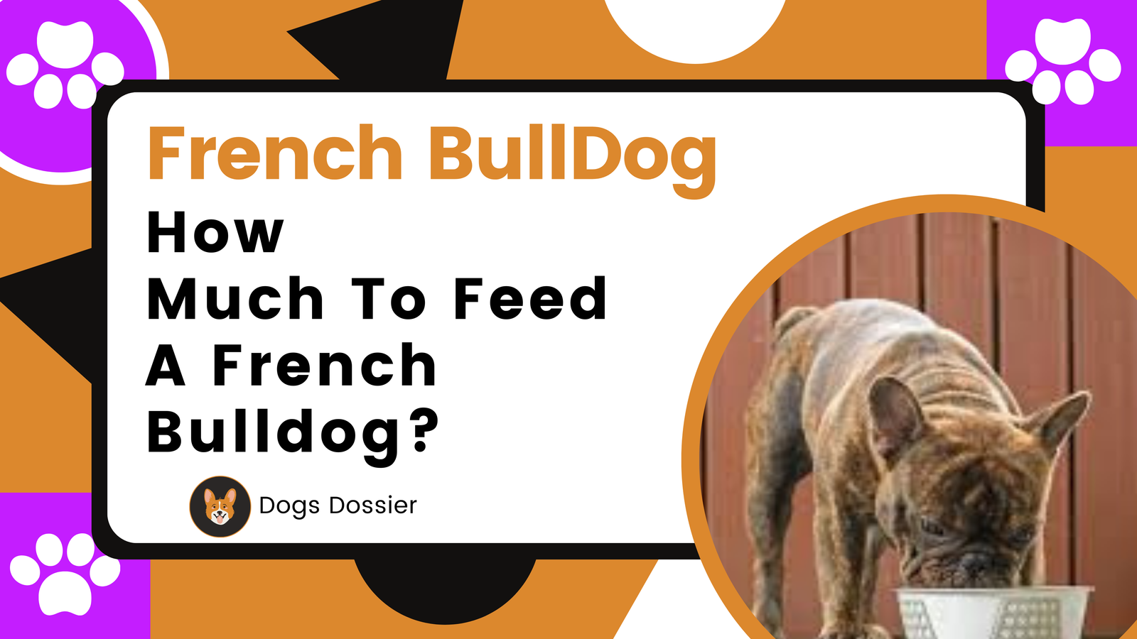 How much to feed a French Bulldog?