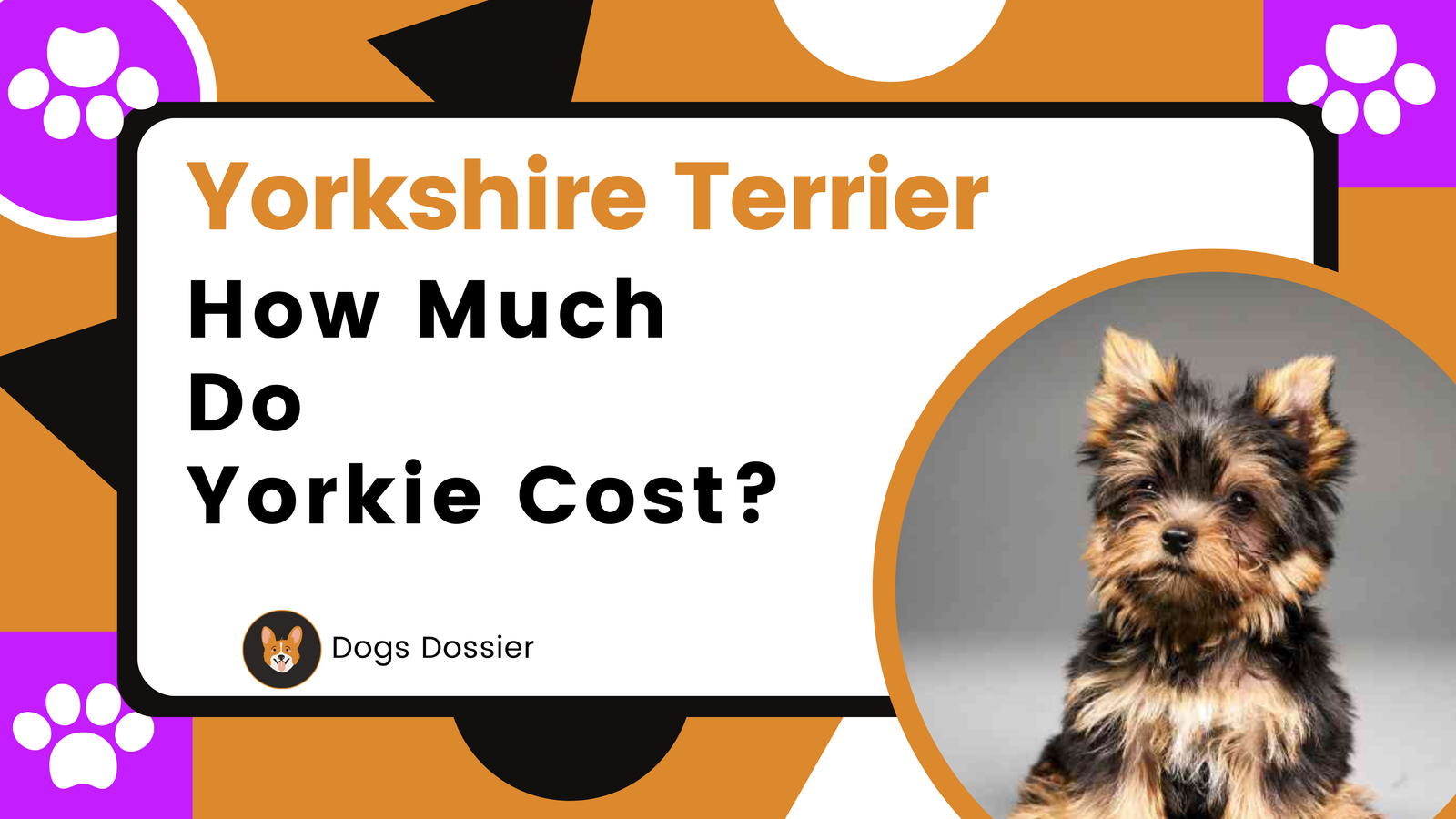 How Much Do Yorkie Cost: A complete Guide for Pet Owners