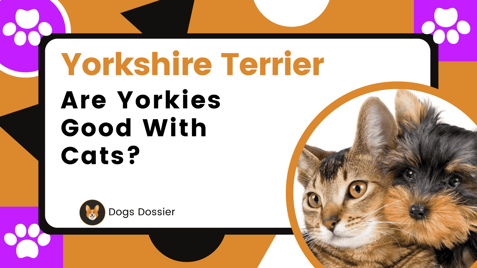 Are Yorkies Good with Cats?